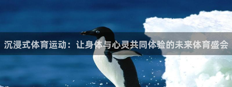 球深体育比分：沉浸式体育运动：让身体与心灵共同体验的未来体育盛会