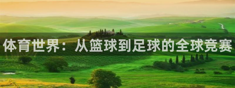 球深体育比分：体育世界：从篮球到足球的全球竞赛