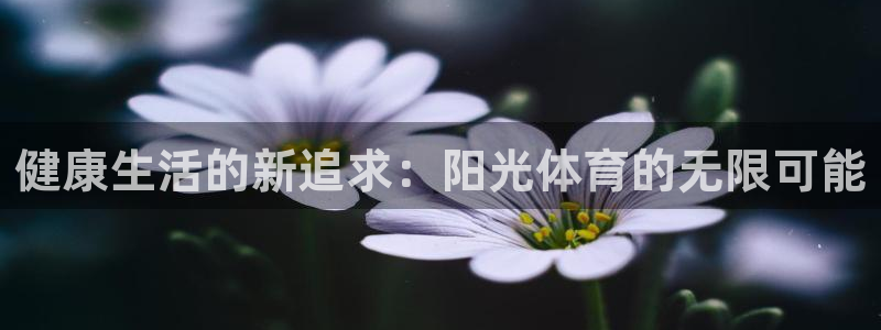球深体育比分：健康生活的新追求：阳光体育的无限可能