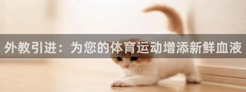 球深体育比分：外教引进：为您的体育运动增添新鲜血液