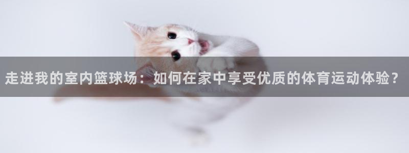 球深体育比分：走进我的室内篮球场：如何在家中享受优质的体育运动体验？