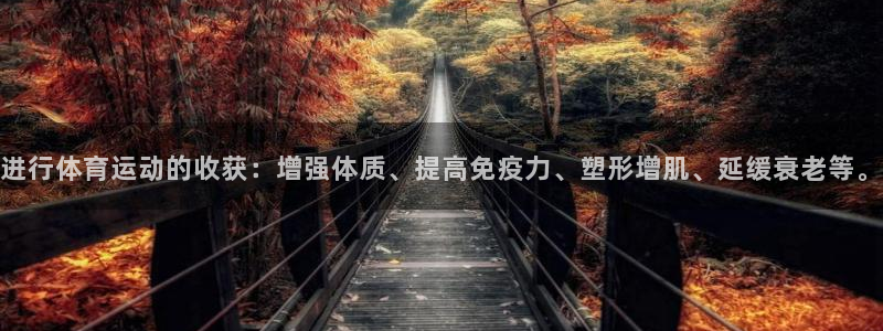 球深体育比分：进行体育运动的收获：增强体质、提高免疫力、塑形增肌、延缓衰老等。
