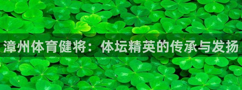 球深体育比分：漳州体育健将：体坛精英的传承与发扬