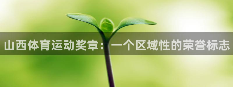球深体育比分：山西体育运动奖章：一个区域性的荣誉标志
