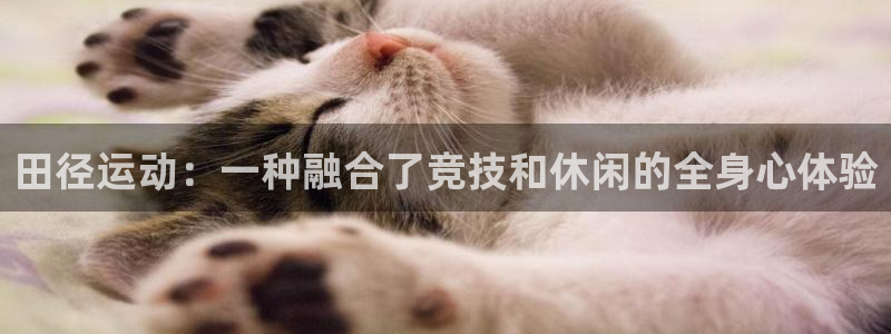 球深体育比分：田径运动：一种融合了竞技和休闲的全身心体验