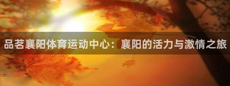 球深体育比分：品茗襄阳体育运动中心：襄阳的活力与激情之旅